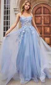 Scoop Floral Appliqued Prom Gown